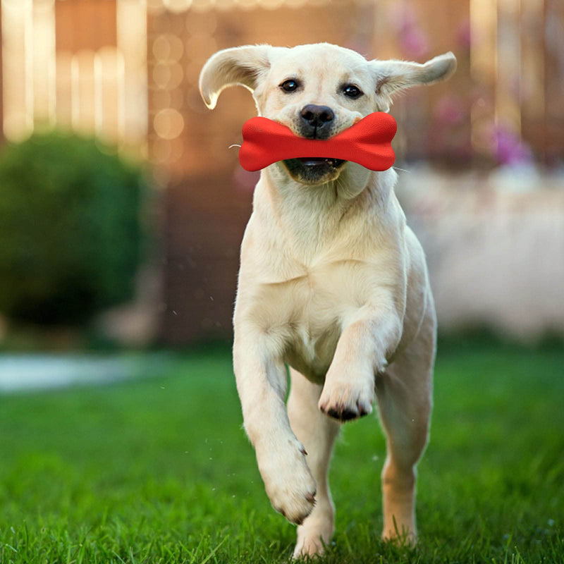 Qesonoo Dog Toys for Aggressive Chewers Dog SuperChewy Tough Dog Bone Toy for Large Medium Dogs Breed Strong Natural Rubber Bones Blue - PawsPlanet Australia