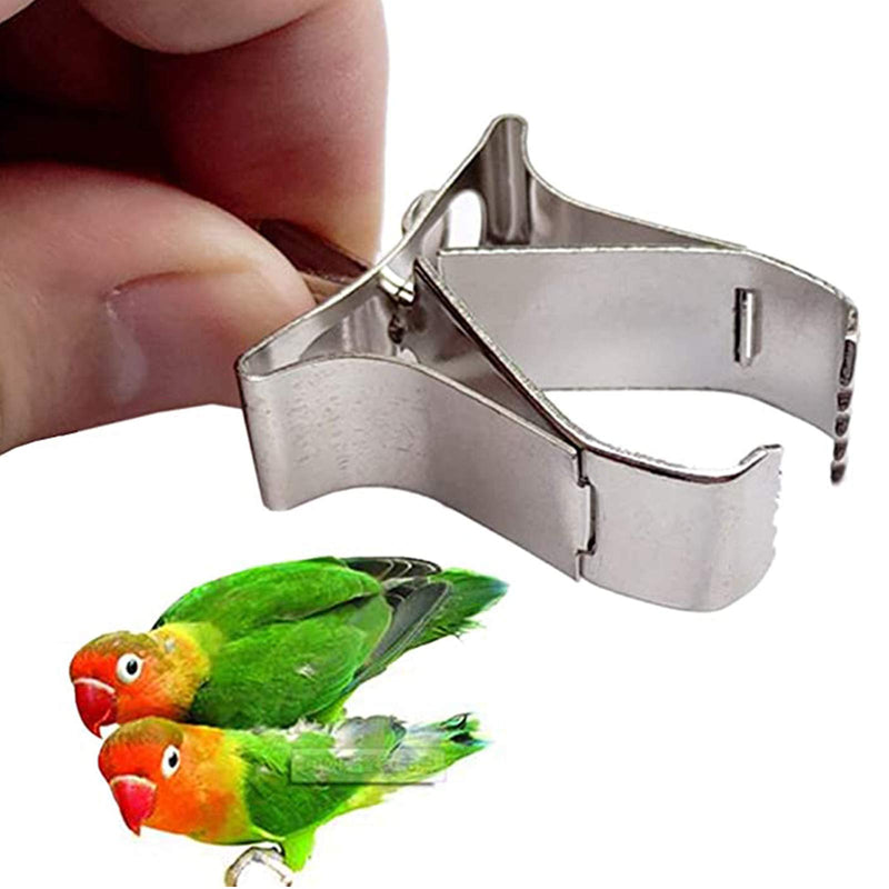 Bird Cage Feeder Food Holder Vegetables Feeder Small Animal Clips for Bird Stainless Steel Parrot Fruit Vegetables Bird Cage Holder with Clamp for Bird Parrot Food Birdseed Vegetable Holder 3 Pieces - PawsPlanet Australia