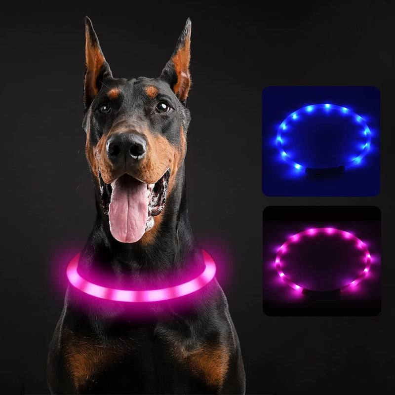 Light Up Dog Collars, OurMiao LED Dog Collar, Rechargeable Dog Lights for Night Walking, Lighted Dog Glow Collar for Small Medium Large Dogs (Blue) Blue - PawsPlanet Australia