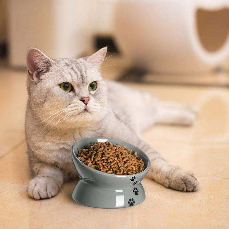 Y YHY Raised Cat Food Bowl, Ceramic Elevated Cat Bowl, Title Angle Protect Cat's Spine, Anti Vomiting Cat Dish, Backflow Prevention, Grey 5 Inches - PawsPlanet Australia