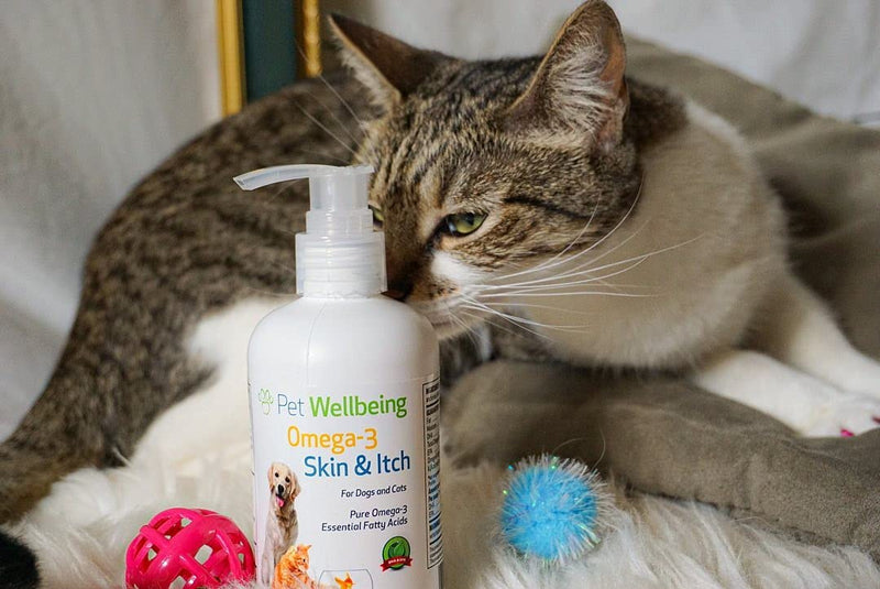 Pet Wellbeing - Omega-3 Skin and Itch Support for Cats and Dogs (8oz) - PawsPlanet Australia