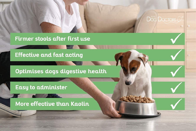 The Dog Doctors Tummy Settler For Fast Acting Relief From Loose Stools. 50 Serving For Digestive Issues & Diarrhoea - Suitable For All Breeds & Sizes - Syringe Included to Easily Administer! (250ml) - PawsPlanet Australia