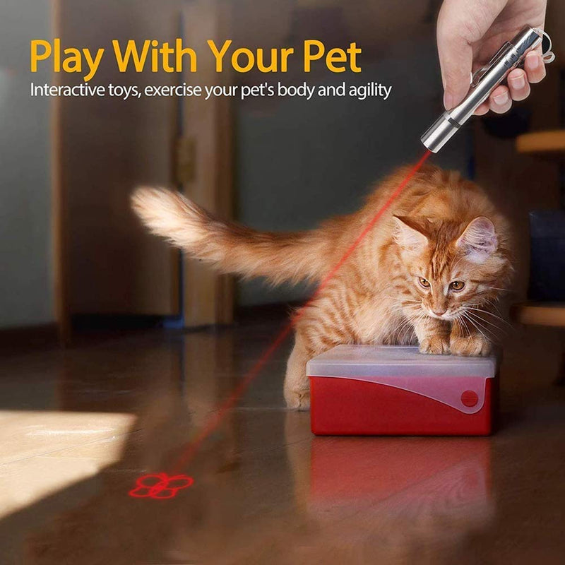 Cat Kitten Dog Toys, Interactive Cat Training Toy for Indoor Cats - PawsPlanet Australia