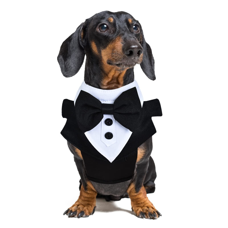 Dog Tuxedo Wedding, Formal Dog Wedding Harness, Dogs Tuxedo Wedding Party Suit, No-Pull Pet Harness, Dog Prince Birthday Wedding Harness for Medium Large Dogs (Large, Harness) - PawsPlanet Australia