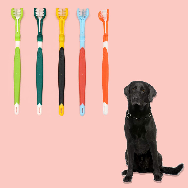 kathson 3 Sided Toothbrush Dog Toothbrush Puppy Triple Bristle Toothbrush Dental Care Tooth Cleaning Whitening Mouth Bad Breath Removing Tartar Labrador (5 Pcs) - PawsPlanet Australia