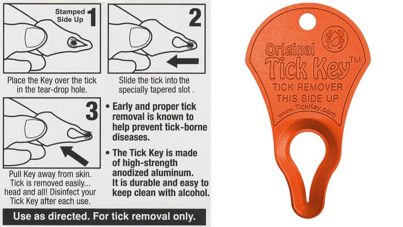 The Original Tick Key -Tick Detaching Device - Portable, Safe and Highly Effective High Visibility Tick Detaching Tool (Orange) - PawsPlanet Australia