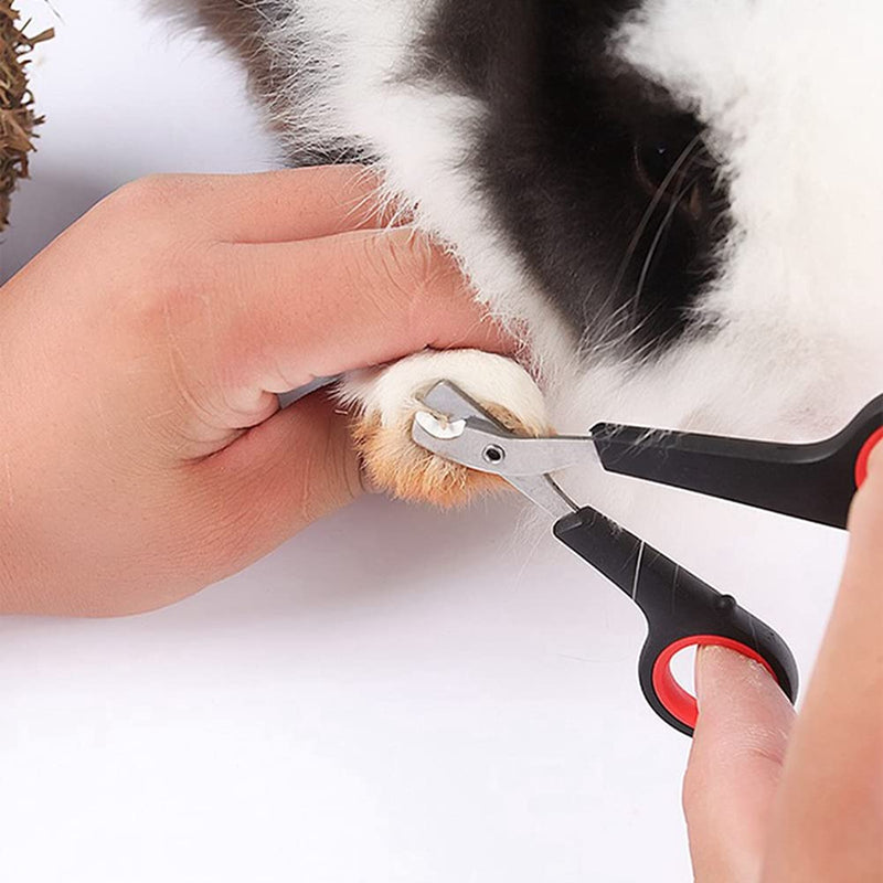 Rabbit Nail Clippers - Professional Pet Nail Clippers Stainless Steel Claw Trimmer Scissors for Small Animal Rabbit Guinea Pig Puppy Ferret Hamsters Chinchilla Sugar Glider Grooming Supplies Black - PawsPlanet Australia