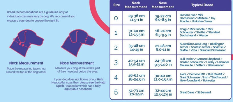 HALTI Headcollar Size 0 Black, UK Bestselling Dog Head Harness to Stop Pulling on the Lead, Easy to Use, Padded Nose Band, Adjustable & Reflective, Professional Anti-Pull Training Aid for Small Dogs - PawsPlanet Australia