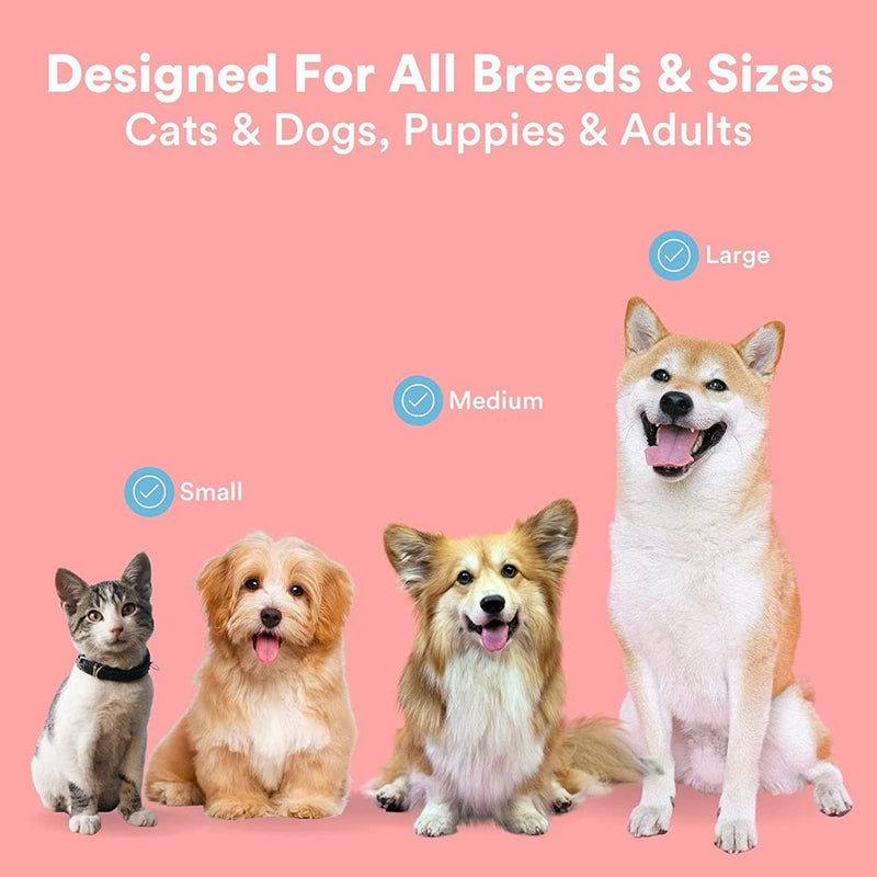 Pack of 4 finger toothbrushes for dogs, finger cots, dog dental care, finger toothbrush, dog toothbrush for small, medium and large dogs - PawsPlanet Australia