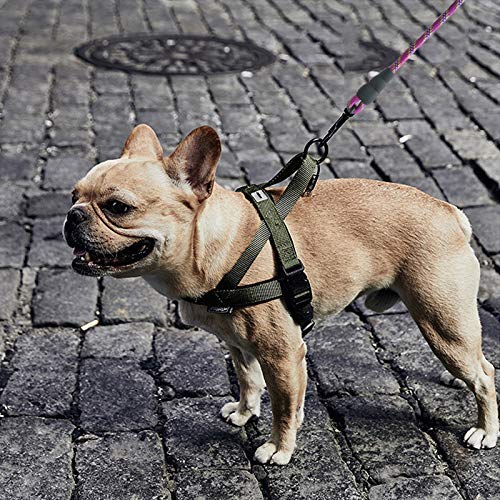 YUCFOREN 2-Pack Small Dog Leash 6Ft x 1/3" Rope Leash for Little Pets/Puppies/Small Animals/Extra Small Dogs, Strong Nylon Walking Leash with Padded Handle Training Lead 6’ x 1/3" Black+black - PawsPlanet Australia