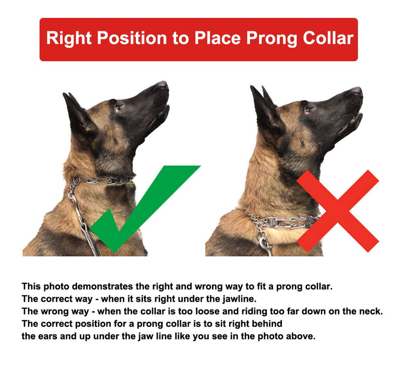 [Australia] - Mayerzon Dog Prong Training Collar, Stainless Steel Choke Pinch Dog Collar with Comfort Tips (Collar) 