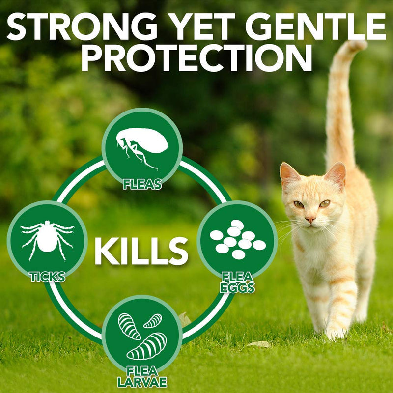 [Australia] - Vet's Best Flea and Tick Easy Spray Flea Treatment for Cats and Home Flea Killer with Certified Natural Oils 6.3 oz 