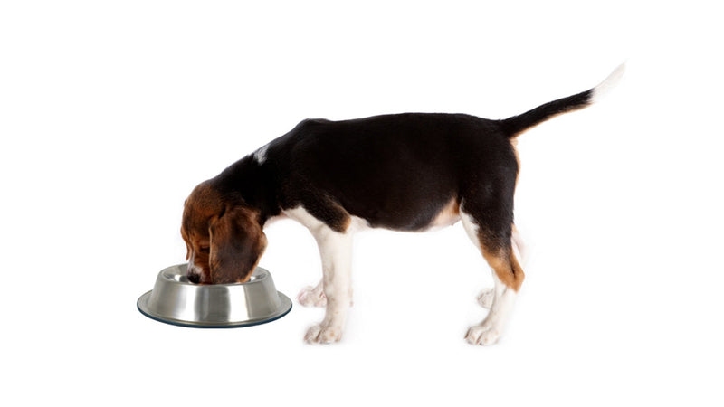 [Australia] - OurPets DuraPet Premium No-Tip Stainless Steel Pet Bowls Large 