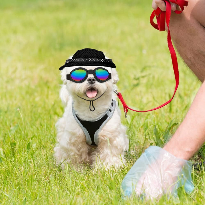 Sebaoyu Round Brim Dog Hat with Sunglasses Pet Puppy Visor Princess Cap Sunbonnet Outfit with Ear Holes and Adjustable Chin Strap Dog Cat Goggles for Small Breed Black - PawsPlanet Australia