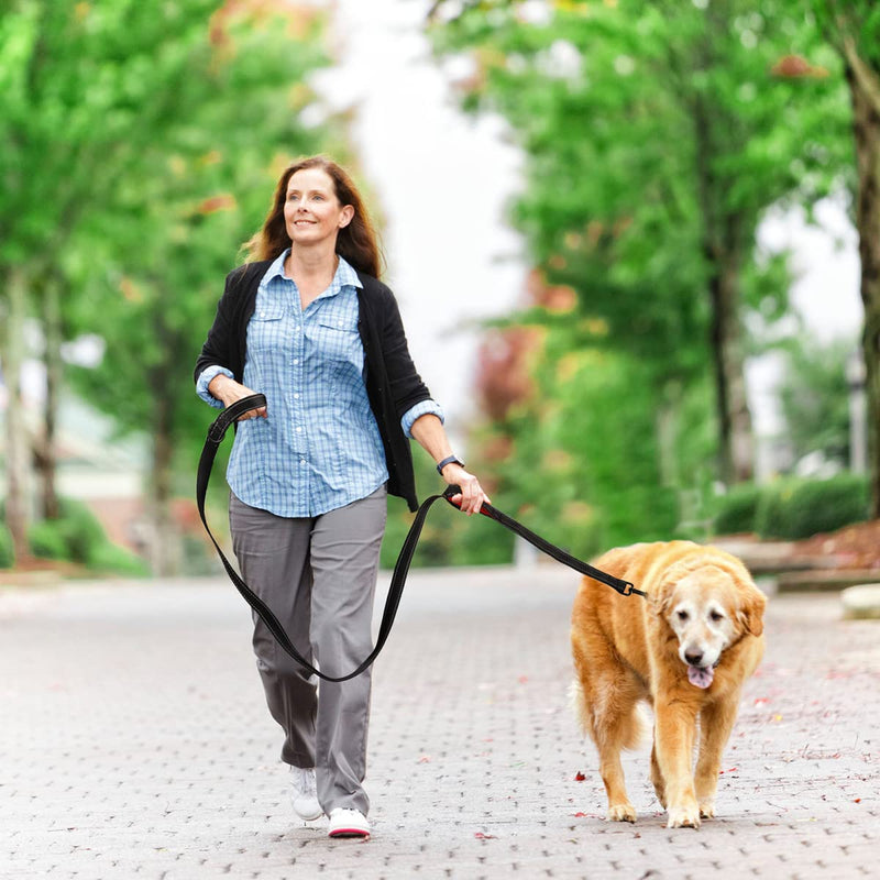 Kytely Heavy Duty Dog Leash with Traffic Padded Two Handles 5FT/4FT, Double Handle Dog Leash, Reflective Walking Lead for Large Medium Small Breed Dogs - PawsPlanet Australia