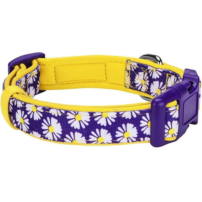 Blueberry Pet 10+ Patterns Soft & Comfy Flower Print Neoprene Padded Dog Collars Collar - Small Daisy - PawsPlanet Australia