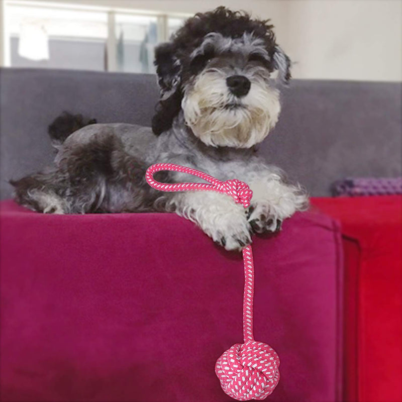 Fippy Dog Rope Toys 7PCS Pet Dog Chew Toys Cotton Squeak Interactive Toys for Small and Medium Dogs Teething Training - PawsPlanet Australia