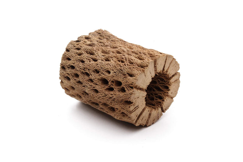 My Pet Patrol 3 to 48 Inch All Natural Teddy Bear Cholla Wood Extra Hollow Large Untreated Organic Aquarium Driftwood Decoration Chew Toy Shrimp Crab Multi-Quantity 1 Piece, 3 inch - PawsPlanet Australia