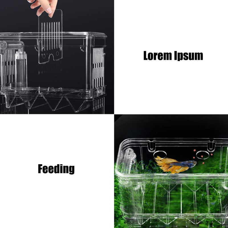 Aquarium Fish Breeder Box Fish Isolation Box with Suction Cups for Baby Fish Clownfish Guppy and Betta Large - PawsPlanet Australia