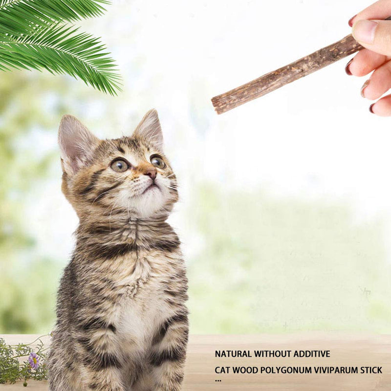 nuoshen 60 Pcs Cat Chew Stick, Natural Catnip Sticks Cat Chew Toys for Cat Kitten Kitty Teeth Cleaning - PawsPlanet Australia