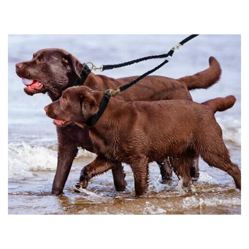 JVHLOV dog leash for 2 dogs, double leash, adjustable 360° rotating dog leash, double dog double leash, walking trainer leash for two dogs, for small, medium and large dogs, black - PawsPlanet Australia