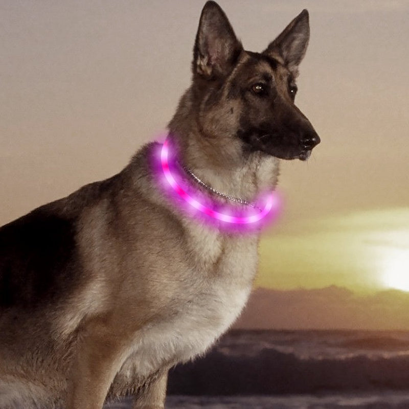 [Australia] - HiGuard LED Dog Collar, USB Rechargeable Glowing Pet Safety Collars, Adjustable Water-Resistant Flashing Light Up Necklace Collar Make Your Dogs High Visible & Safe in the Dark (1 Pack-Pink) 