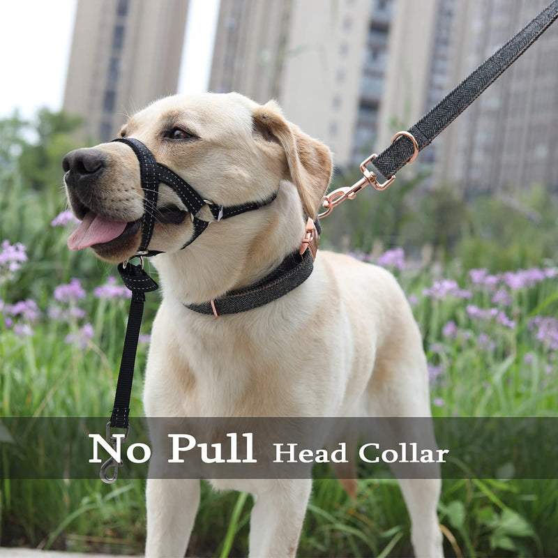 Dog Head Collar, No Pull Head Halter with Soft Padding, Durable Headcollar for Medium Large Dogs, Free Training Guide Included S (Snout: 7.1-10.2") Black Nylon / Black Padding - PawsPlanet Australia