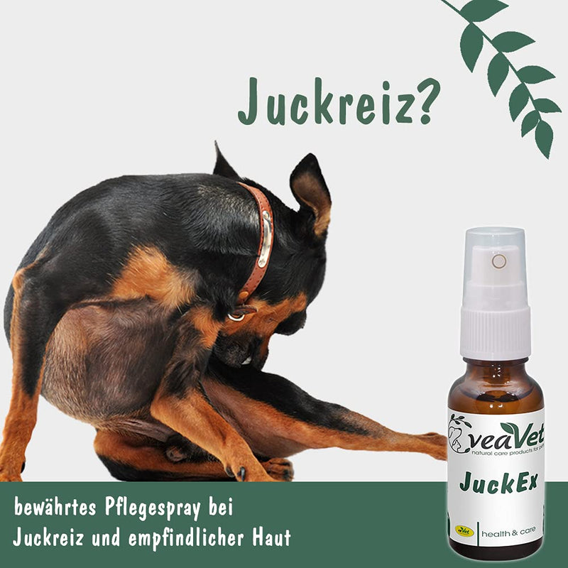 cdVet natural products VeaVet JuckEx 100 ml - dog, cat, horse - care spray - for skin areas at risk of fungi and germs - protection - regeneration - sore skin - healthy germs - PawsPlanet Australia