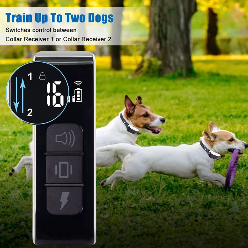Daspom Shock Collar for Dogs IPX7 Waterproof and Rechargeable, Dog Training Collar 2 in 1 1000Ft Remote, Electric Bark Collar 3 Training Modes Beep, Vibration and 16 Static Levels & Indicator Light - PawsPlanet Australia
