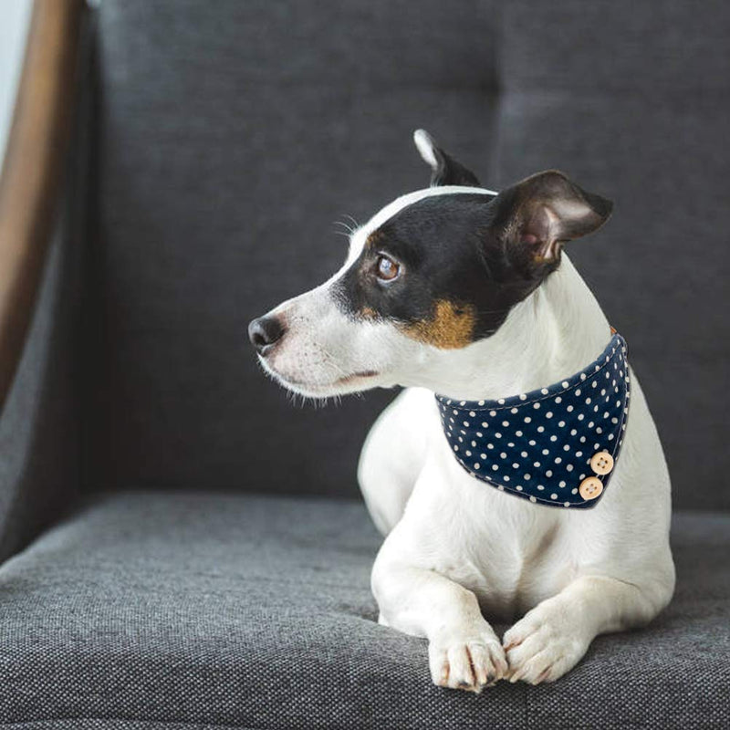 [Australia] - EXPAWLORER Bow Tie Dog Collar with Bell, 2 Pack Classic Plaid Adjustable Collars Bowtie Bandana for Puppy Cats Medium Blue 