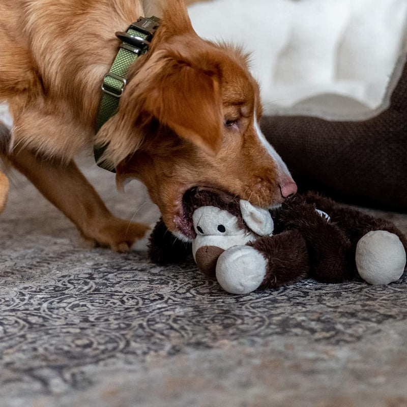 Nobby plush monkey for dogs 43 cm, 1 piece - PawsPlanet Australia
