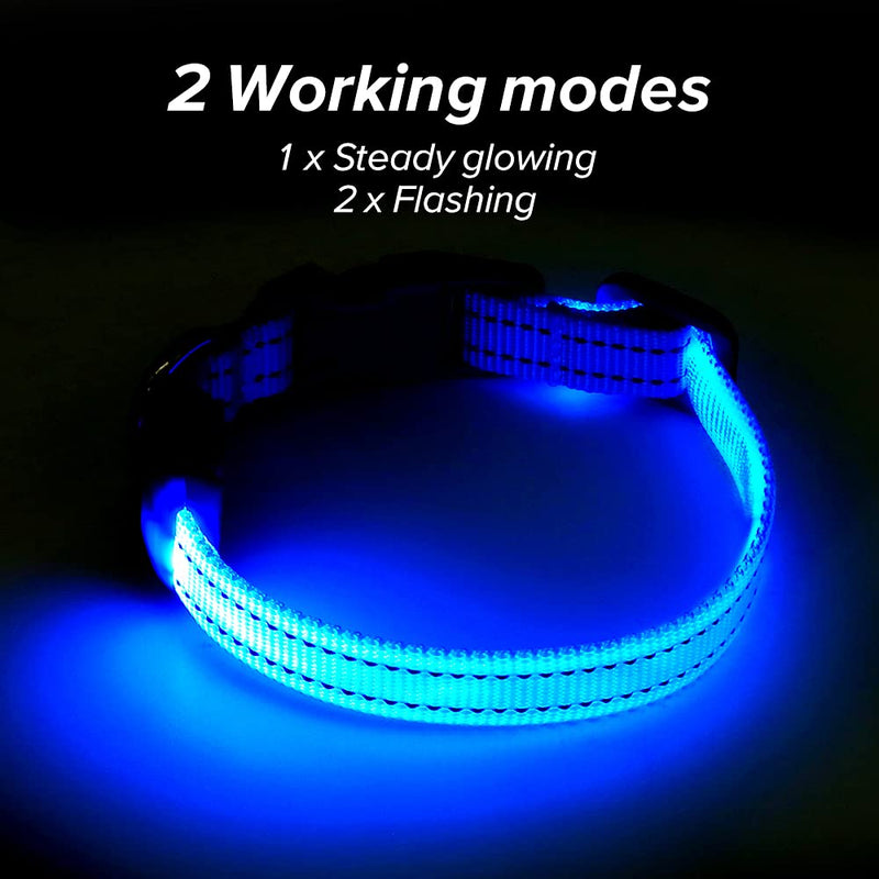 BSEEN Light Up Dog Collars - Rechargeable Glowing LED Dog Collar for Small Dogs & Cats Blue - PawsPlanet Australia