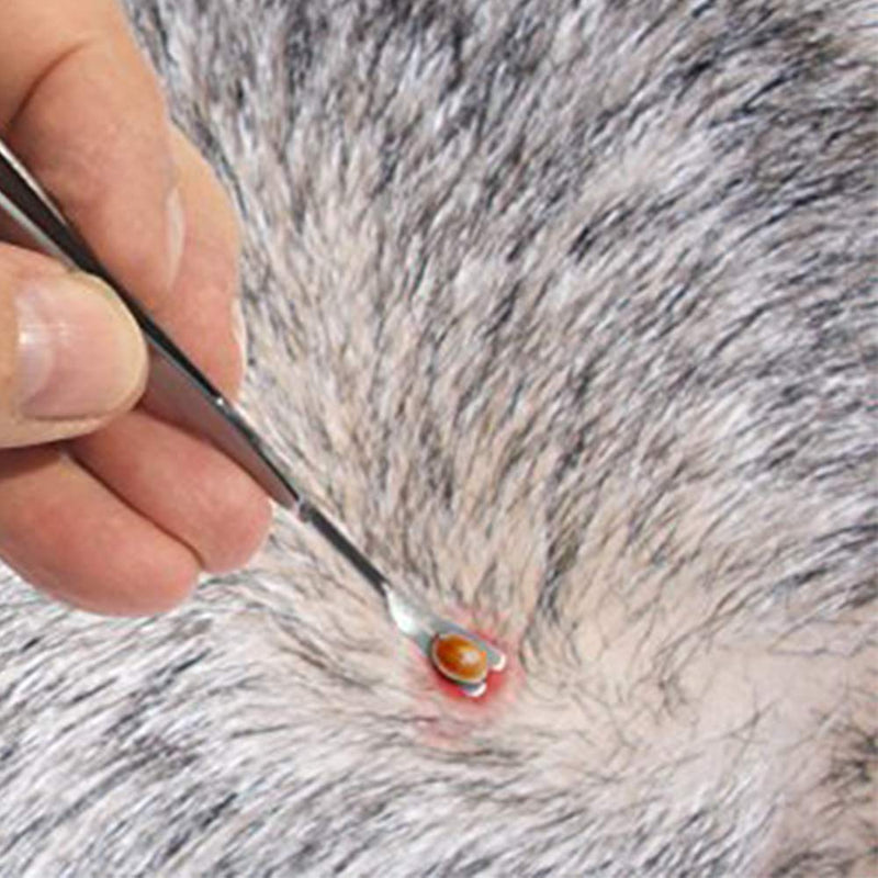eTradewinds Tick Remover Tool | Tick-Off Pro | Hygienic All Stainless Steel Tick Removal Tool with Leather Case 1-Pack - PawsPlanet Australia