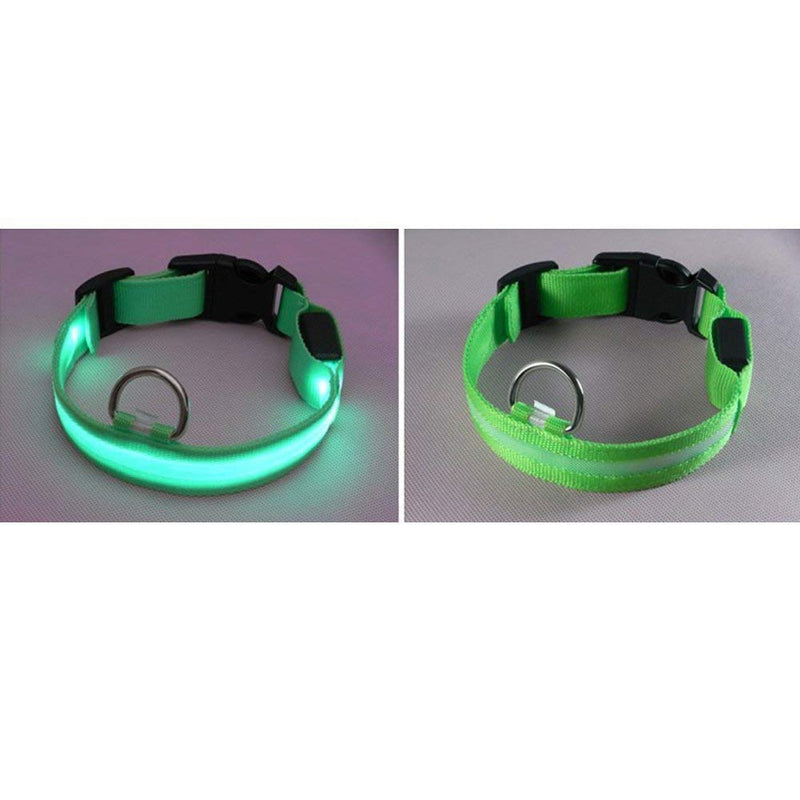 Flashing Dog Collar - PawsPlanet Australia