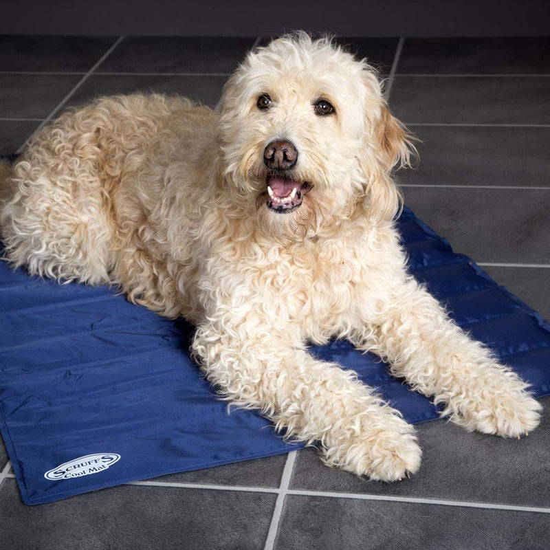 Scruffs Self-Cooling Mat (S) Blue S - PawsPlanet Australia