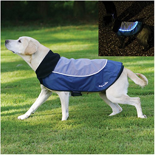 Rosewood Night Bright LED Dog Jacket, 12-inch - PawsPlanet Australia