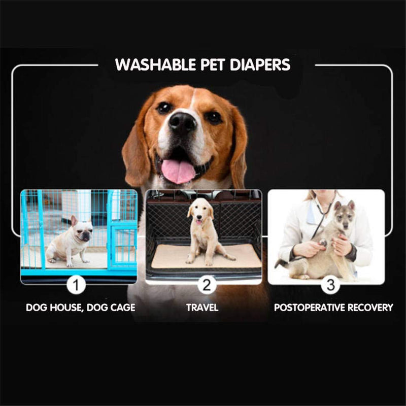 Doglemi Washable Dog Training Pads Reusable Puppy Pee Pad 4-Layer Fast Absorb Washable Training Mat with Non-slip Bottom Training Mats For Dogs Washable Indoor Outdoor Car Travel 100x67CM (Beige L) Beige - PawsPlanet Australia