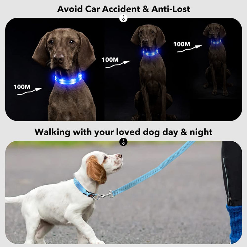 PZRLit Dog Collar Luminous USB Rechargeable, LED Dog Light Collar for Small Medium Large Dogs, Safety When Running at Night, Blue Medium Blue - PawsPlanet Australia