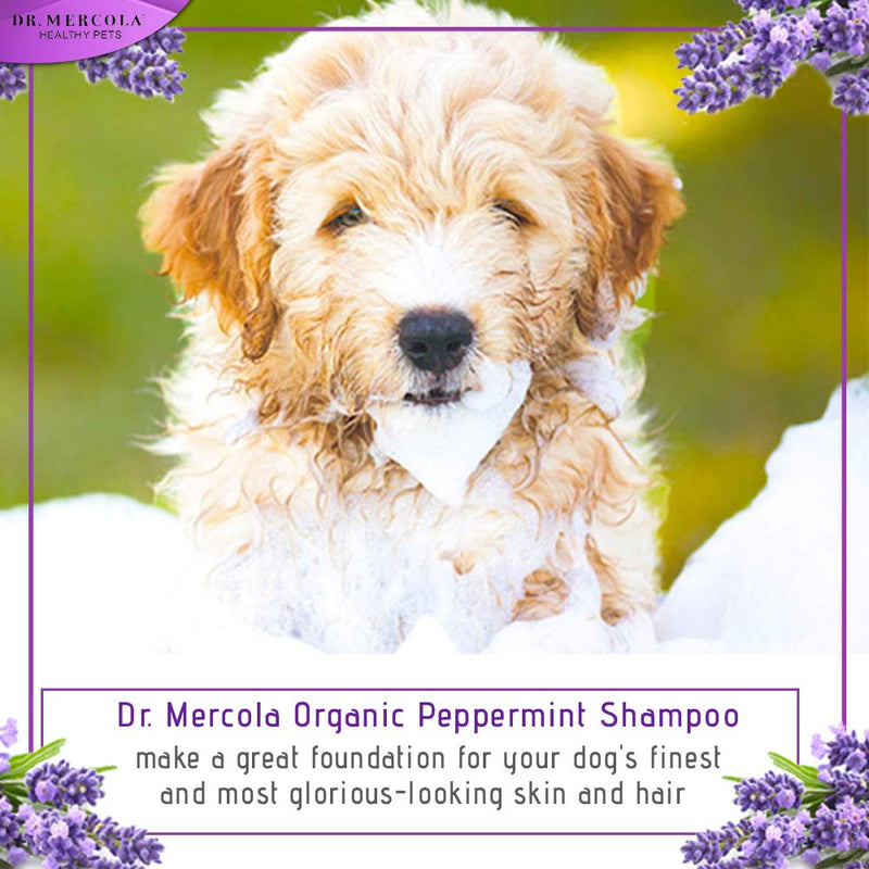 [Australia] - Dr. Mercola Organic Lavender Shampoo for Dogs, 8 fl oz. (237 ml), USDA Organic 