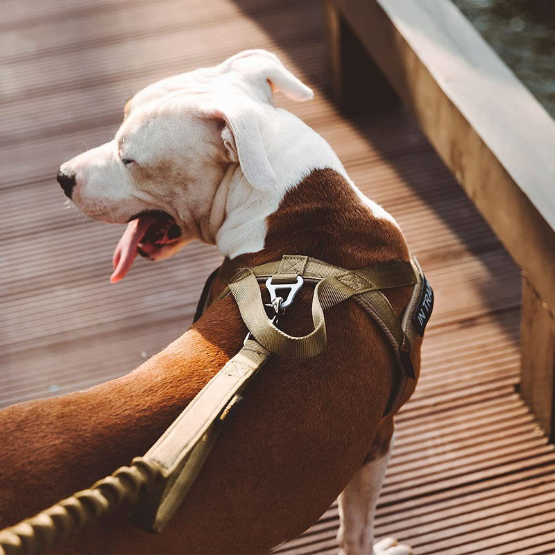 EXCELLENT ELITE SPANKER Tactical Dog Harness Vest Adjustable Nylon Pet Dog Harness for Small Medium Large Dogs (Black-XS) XS Black - PawsPlanet Australia