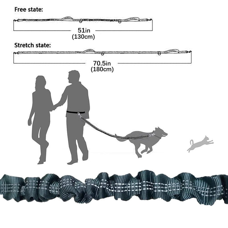 QitinDasen Hands-Free Dog Leash, Orange Adjustable Waist Belt and Gray Stretchy Bungee Leash, Jogging Dog Leash with Reflective Stitching - PawsPlanet Australia