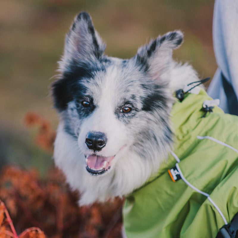 Tellpet Dog Jacket Waterproof Dog Raincoat, Reflective Dog Jacket S(Chest:21.5-25.5",Back Length:14") Green - PawsPlanet Australia