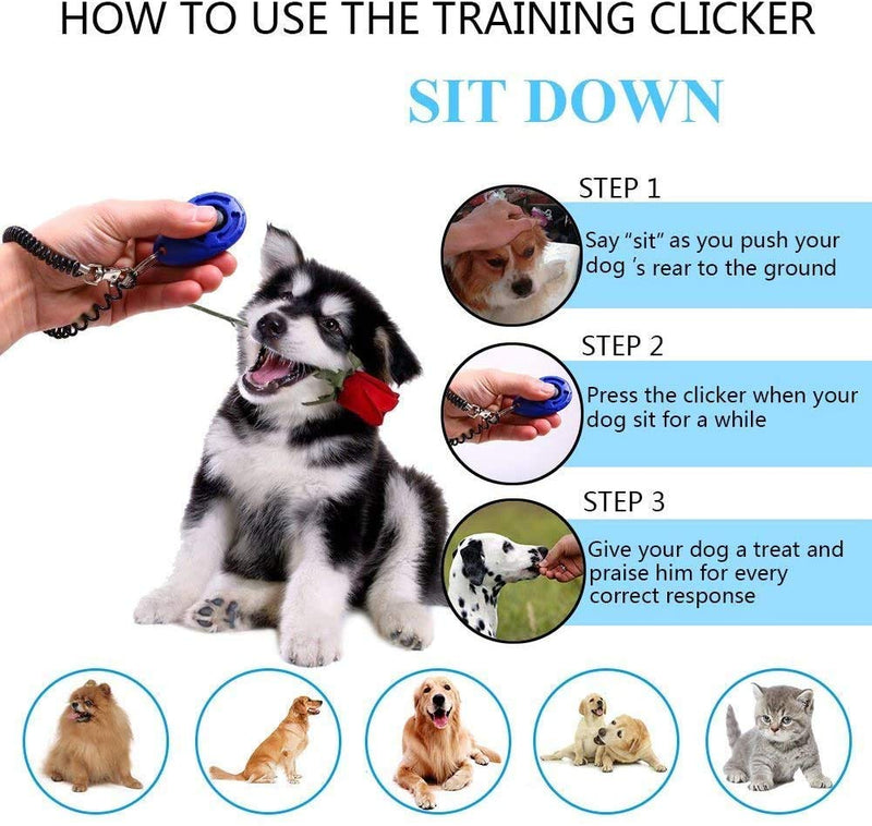 Golden Apple 4-Pack Dog Training Clicker with Wrist Strap for Pet, Puppy, Cat - PawsPlanet Australia