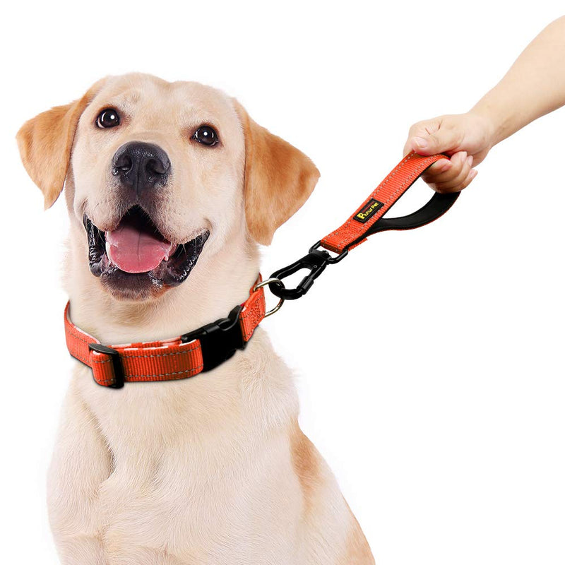 PLUTUS PET Strong Training Dog Lead with Rock Climing Carabiner Clip, Relective Nylon Dog leash Padded Handle, Training Lead for Large and Medium Dogs(25cm,Orange) 25cm Orange - PawsPlanet Australia