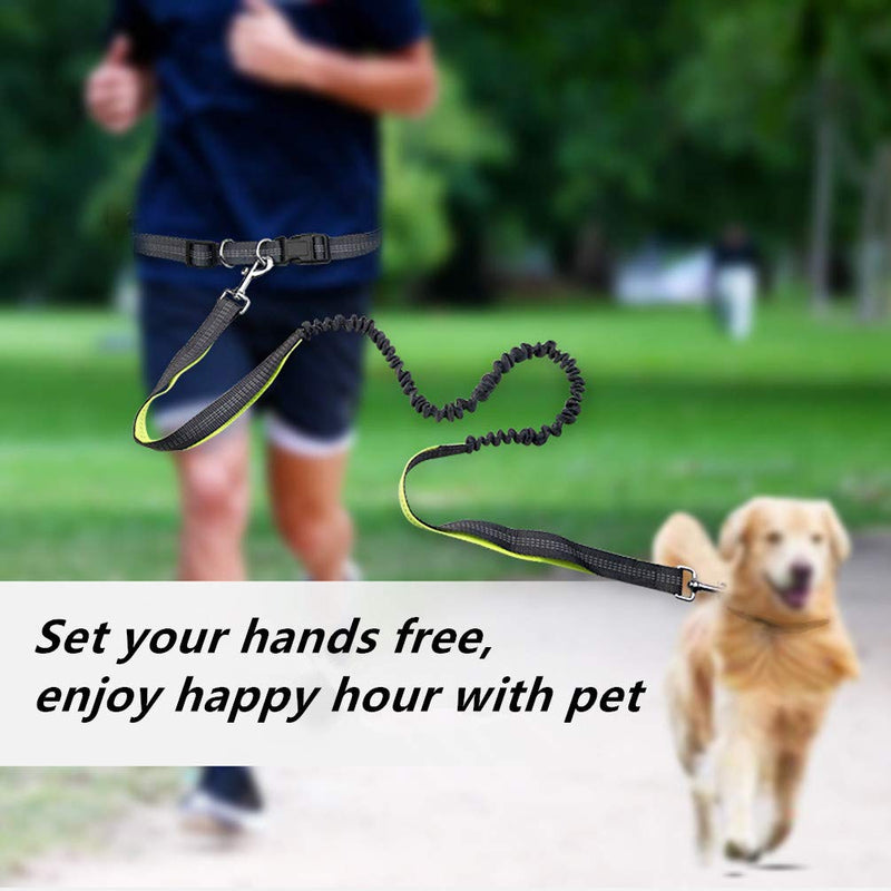 Moraphee Hands Free Retractable Dog Leash for Running with Reflective Thread, Adjustable Waistband Length: 70-120cm; Leash size: 160-190*2.5cm for dogs under 110lb - PawsPlanet Australia