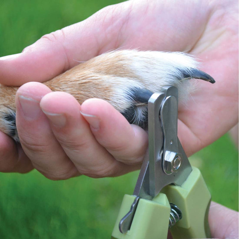 Safari Professional Large Nail Trimmer For Dogs - PawsPlanet Australia