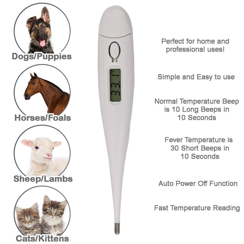 Pet Thermometer For Animal Owners of Dogs Cats Horses Vets Fixed Head Digital Temperature Probe Includes Veterinary Hobdays Chart - PawsPlanet Australia