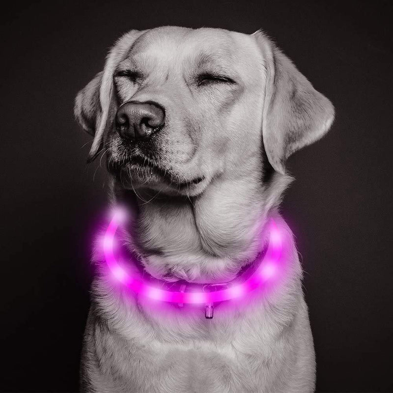 Iseen Led Dog Collar Dog Christmas Collar Ultra Bright USB Rechargeable Adjustable Size Dog Collars for Puppy Medium Large Dogs - Increased Visibility & Safety Pink - PawsPlanet Australia