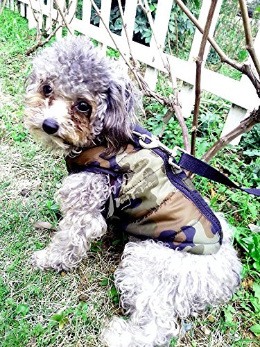 [Australia] - MaruPet Winter Waterproof Windproof Reversible Dog Vest Coat Warm Dog Vest for Cold Weather Dog Down Jacket for Small Medium Dogs (Not Suitable for Big Dogs) XS(Back:9.0", Chest:13.5", 3.0-5.0lbs) Camouflage 