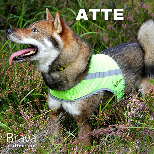 FinNero ATTE Attention Reflective Vest for Dogs, Yellow, XXL - PawsPlanet Australia